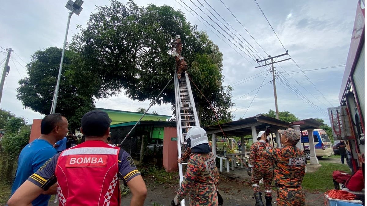 Terkena renjatan elektrik ketika jolok mangga, lelaki maut