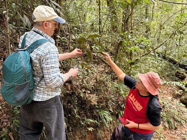 Saintis UMS temui spesies tumbuhan baharu di Taman Bukit Tawau
